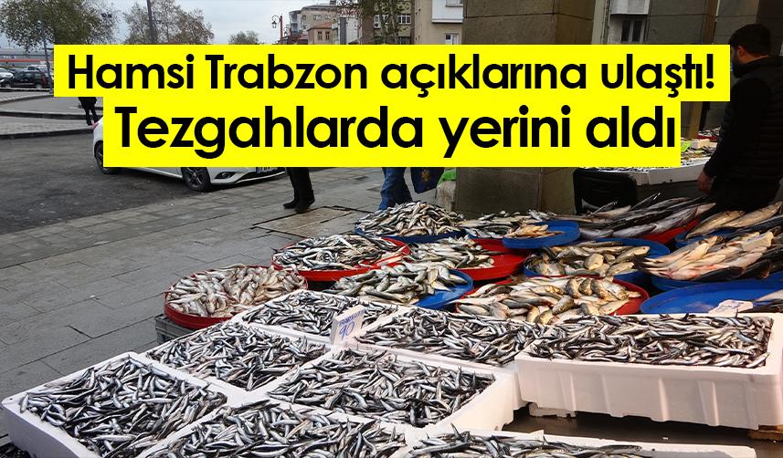 Hamsi Trabzon açıklarına ulaştı! Tezgahlarda yerini aldı