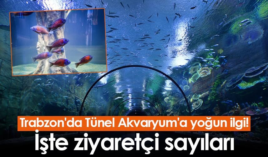 Trabzon'da Tünel Akvaryum'a yoğun ilgi! İşte ziyaretçi sayıları