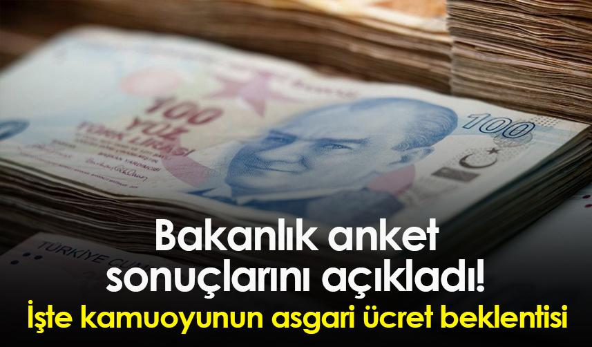Bakanlık anket sonuçlarını açıkladı! İşte kamuoyunun asgari ücret beklentisi