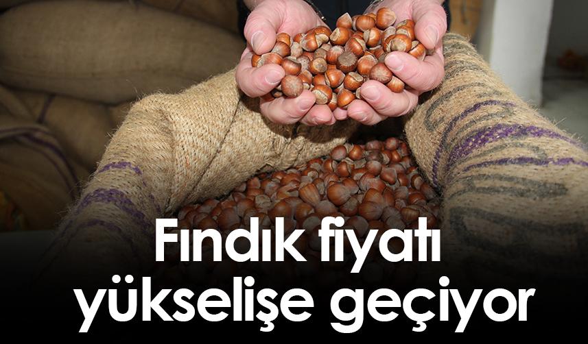 Fındık fiyatı yükselişe geçiyor