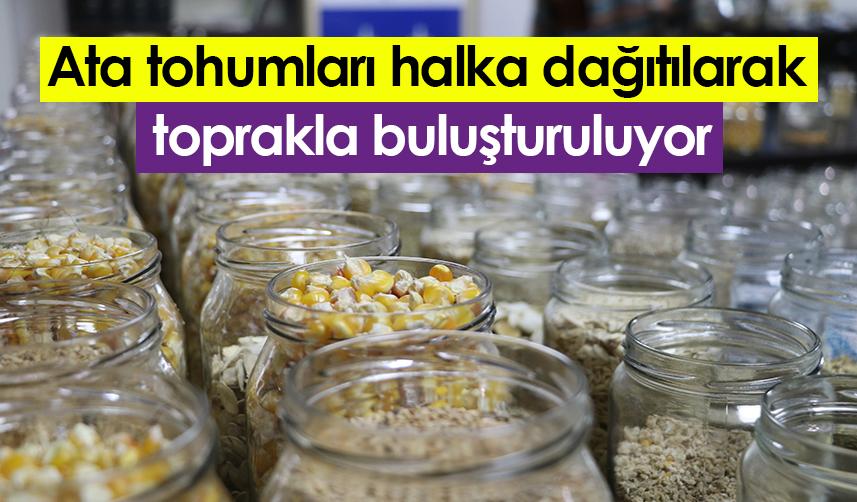 Rize'de ata tohumları halka dağıtılarak toprakla buluşuyor