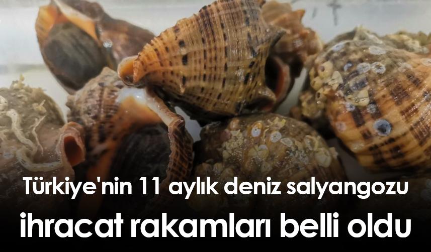 Türkiye'nin 11 aylık deniz salyangozu ihracat rakamları belli oldu