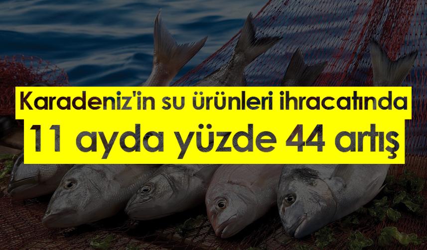 Karadeniz'in su ürünleri ihracatında 11 ayda yüzde 44 artış