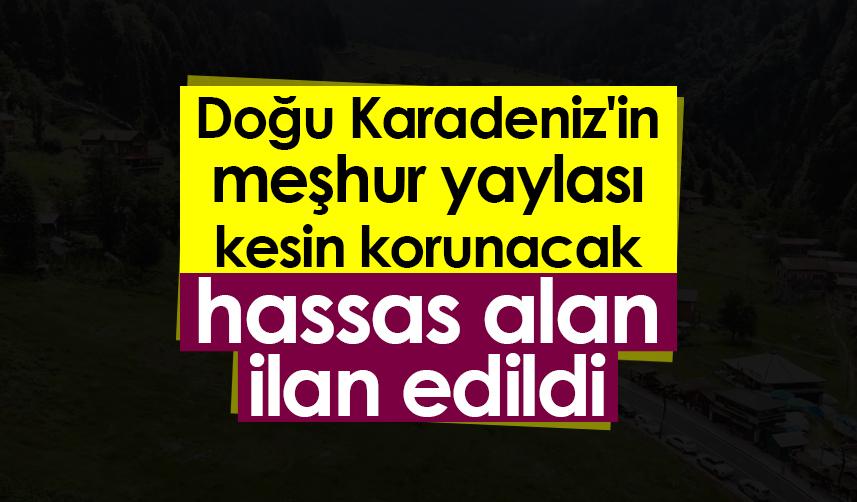 Doğu Karadeniz'in meşhur yaylası kesin korunacak hassas alan ilan edildi