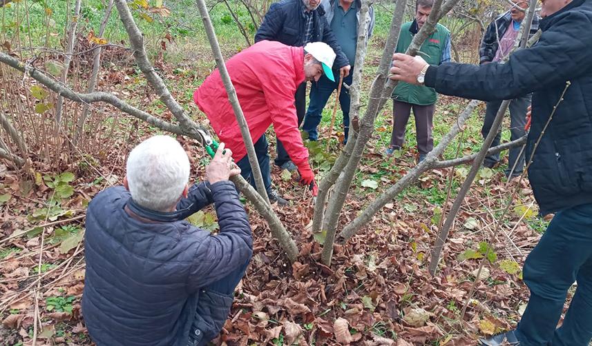 Fındık Üreticilerine önemli uyarı! “Mutlaka yapın”