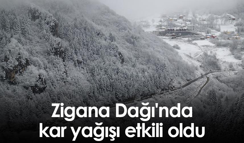 Zigana Dağı'nda kar yağışı etkili oldu