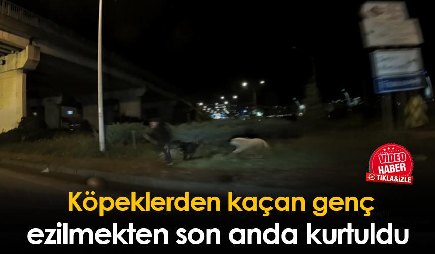 Köpeklerden kaçan genç ezilmekten son anda kurtuldu