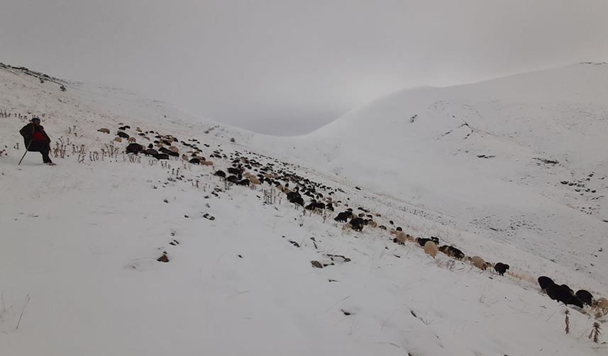 Artvin’de besicilerin zorlu kış şartlarıyla mücadelesi