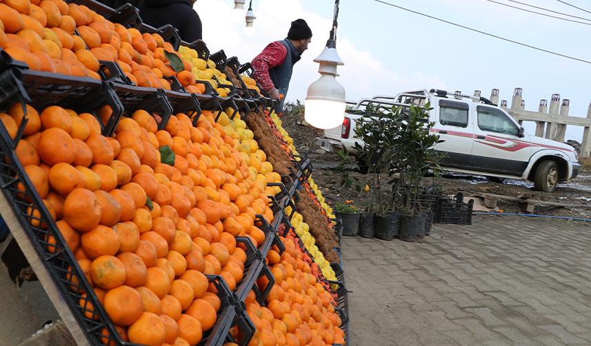 Tıpkı çay gibi Rize'de yetişiyor, tüm Türkiye tüketiyor