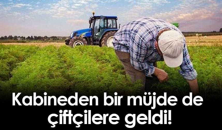 Kabineden bir müjde de çiftçilere geldi!