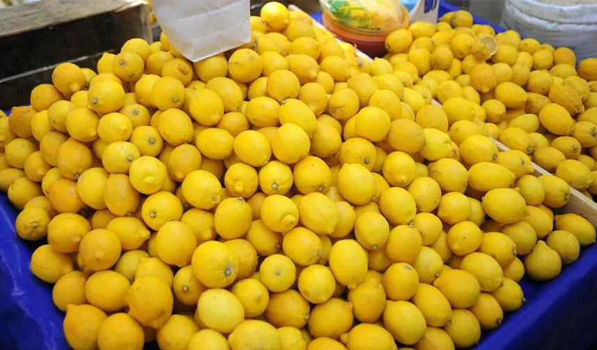 limona olan talep ikiye katlandı