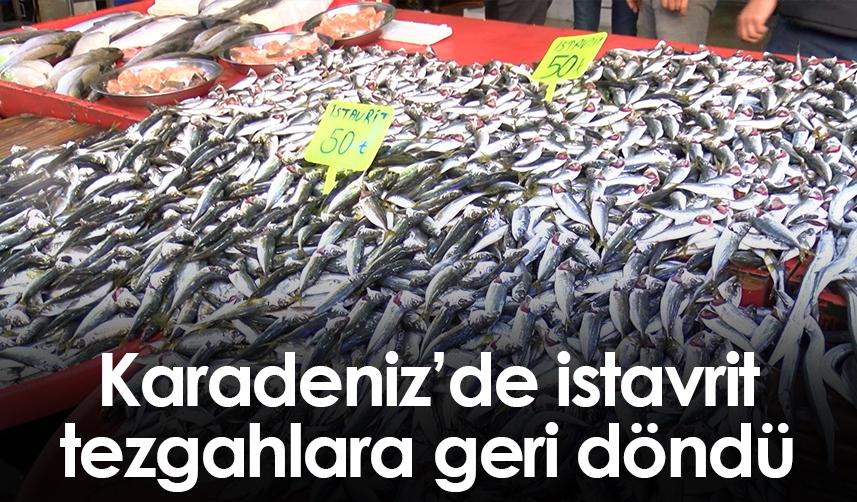 Karadeniz’de istavrit tezgahlara geri döndü