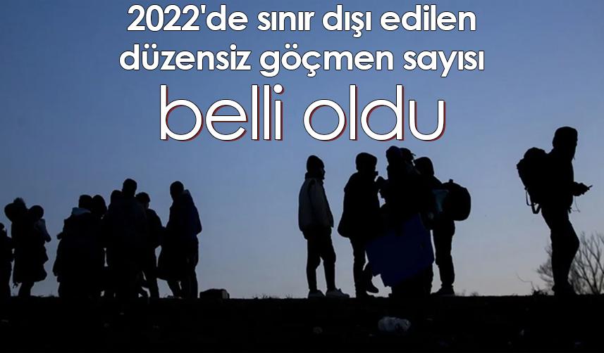 2022'de sınır dışı edilen düzensiz göçmen sayısı belli oldu