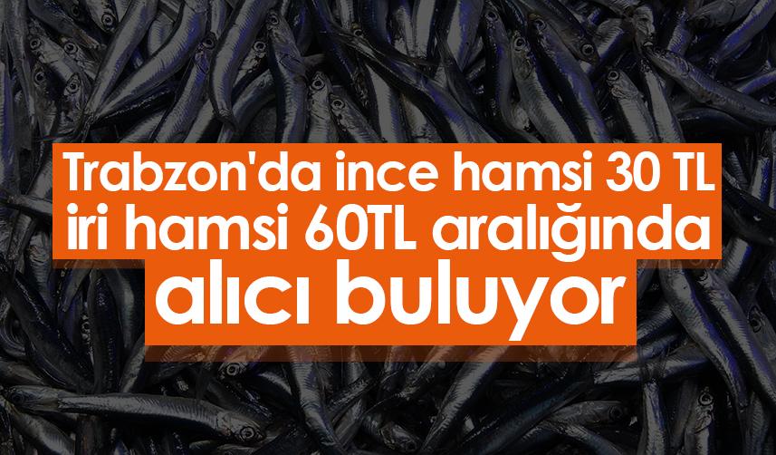 Trabzon'da ince hamsi 30 TL iri hamsi 60TL aralığında alıcı buluyor