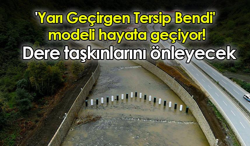 'Yarı Geçirgen Tersip Bendi' modeli hayata geçiyor! Dere taşkınlarını önleyecek