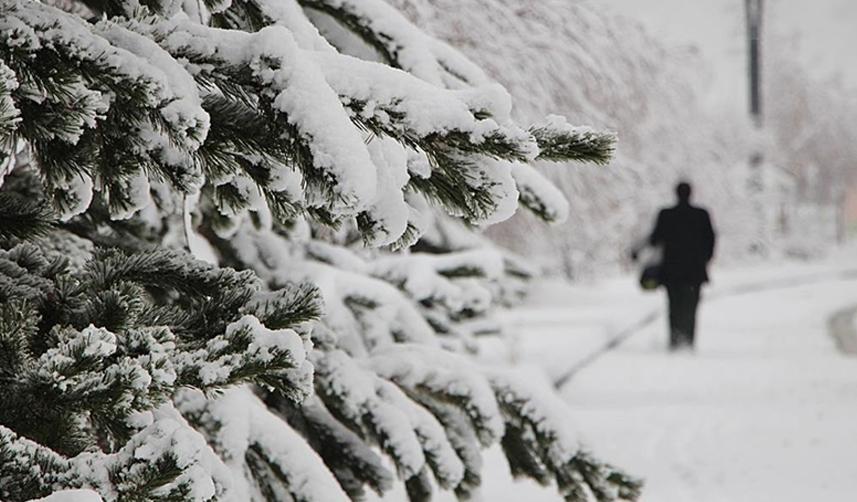 Rize ve Artvin çevrelerinde yoğun kar yağışı bekleniyor