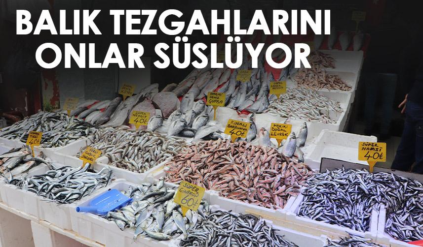 Balık tezgahlarının gözdesi mezgit, somon ve hamsi