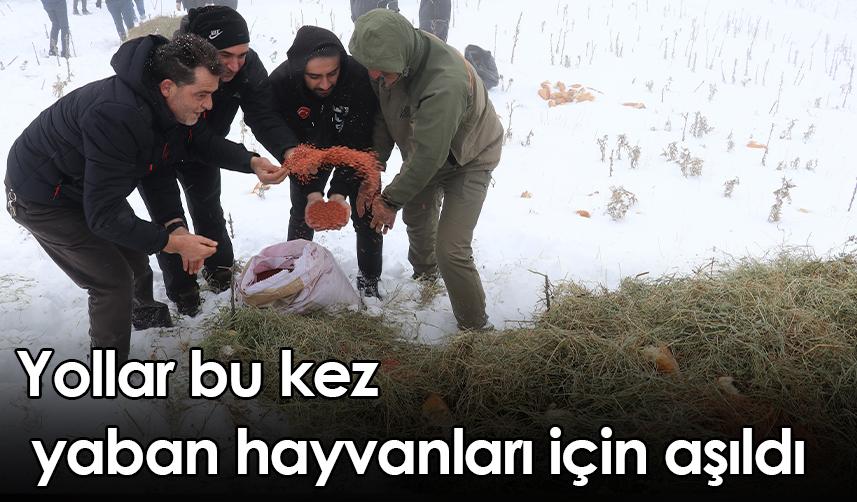 Gümüşhane'de yollar bu kez yaban hayvanları için aşıldı