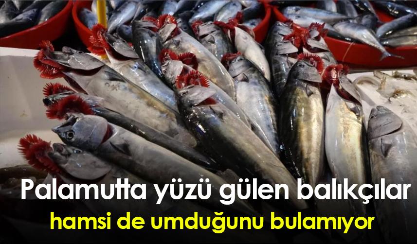 Palamutta yüzü gülen balıkçılar, hamsi de umduğunu bulamıyor