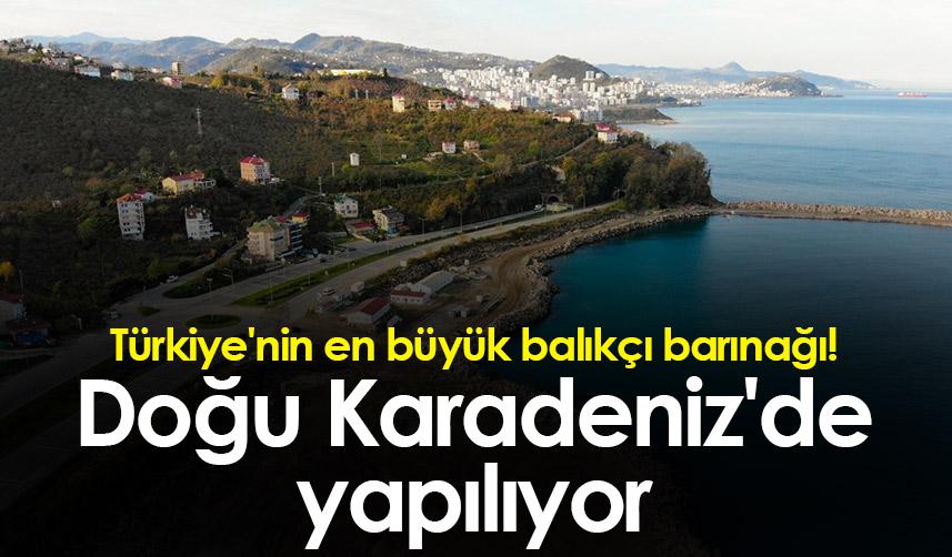 Türkiye'nin en büyük balıkçı barınağı! Doğu Karadeniz'de yapılıyor