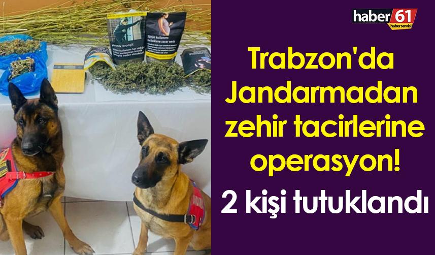 Trabzon'da Jandarmadan zehir tacirlerine operasyon! 2 kişi tutuklandı
