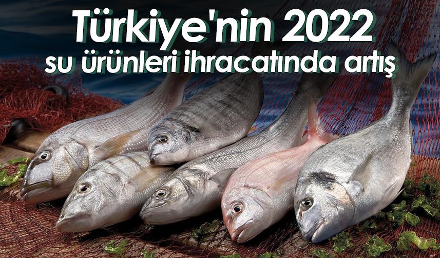 Türkiye'nin 2022 su ürünleri ihracatında artış