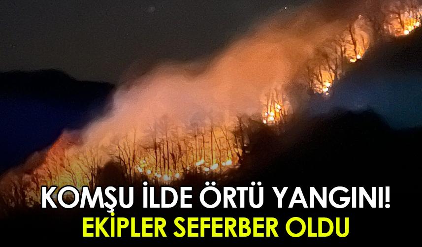 Rize'de örtü yangını! Ekipler seferber oldu