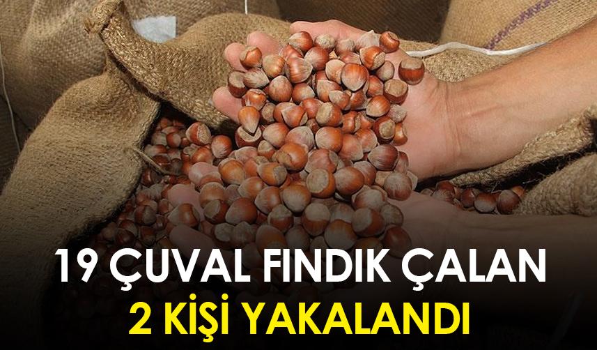Giresun'da 19 çuval fındık çalan 2 kişi yakalandı
