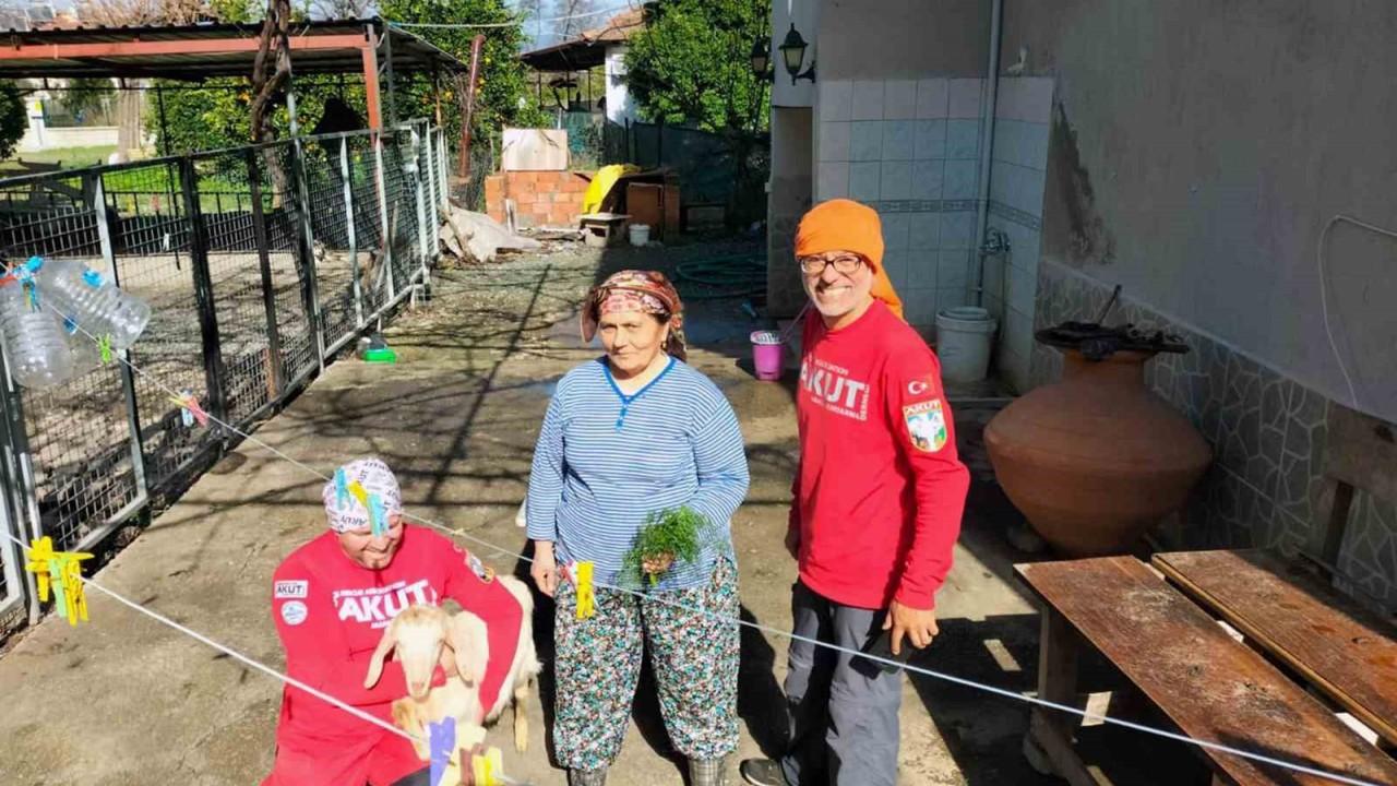 Sarp bölgede mahsur kalan keçiyi AKUT kurtardı