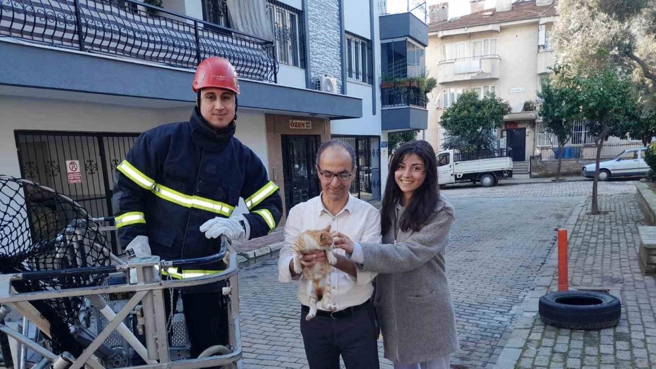 Ağaçta mahsur kalan kedinin imdadına itfaiye ekipleri yetişti