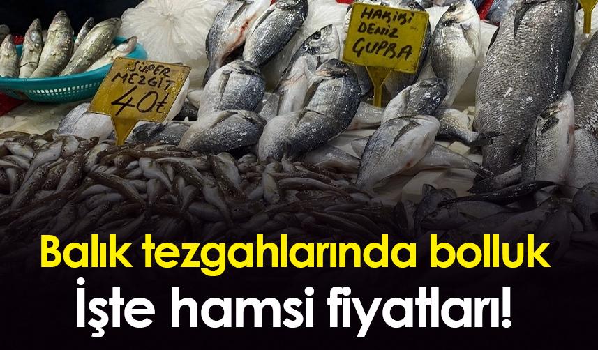 Samsun'da balık tezgahlarında bolluk!