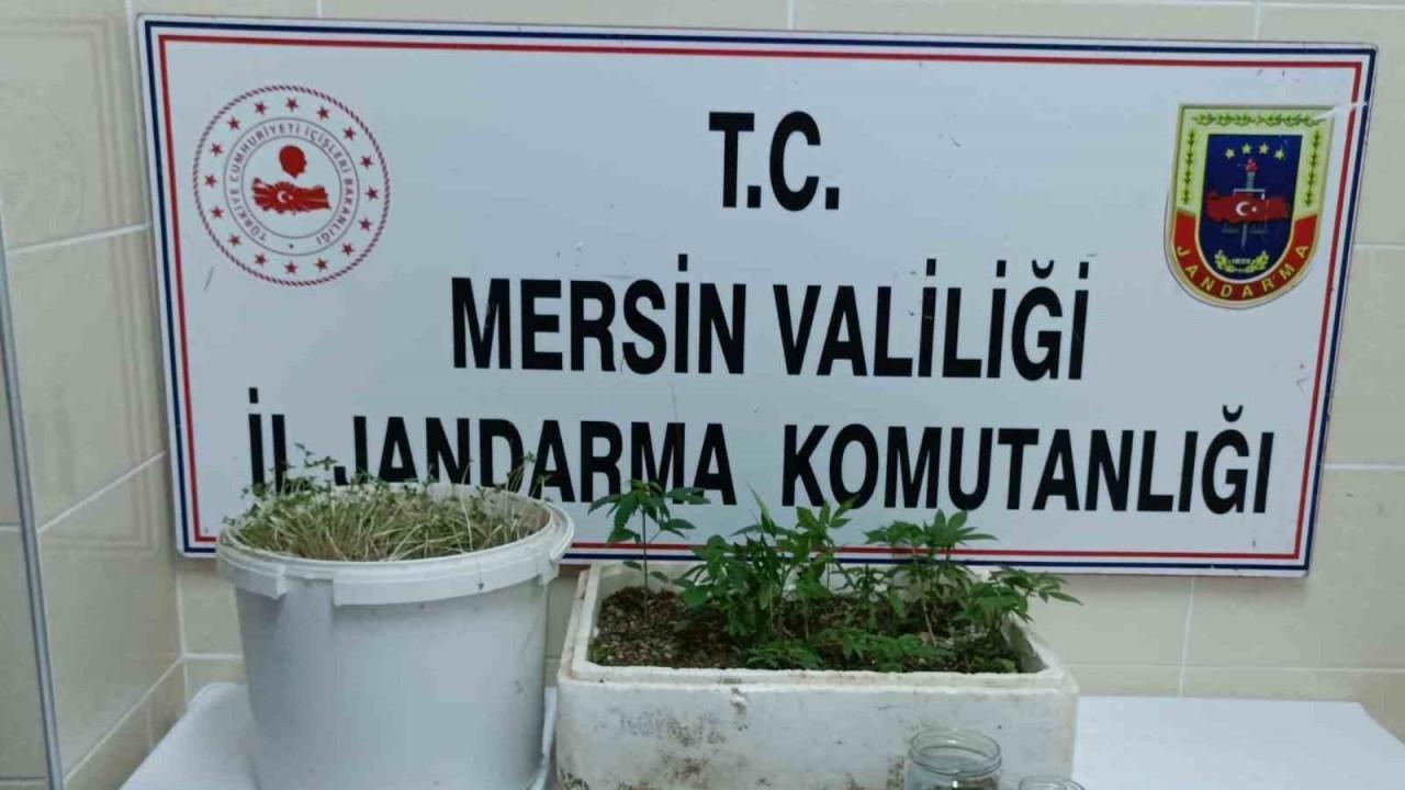 Mersin’de uyuşturucu operasyonu: 1 tutuklu