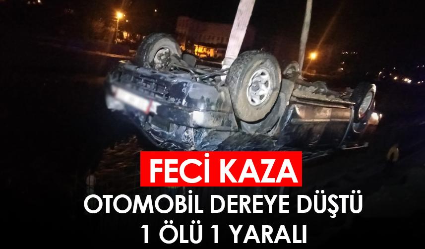 Artvin'de feci kaza! Otomobil dereye düştü