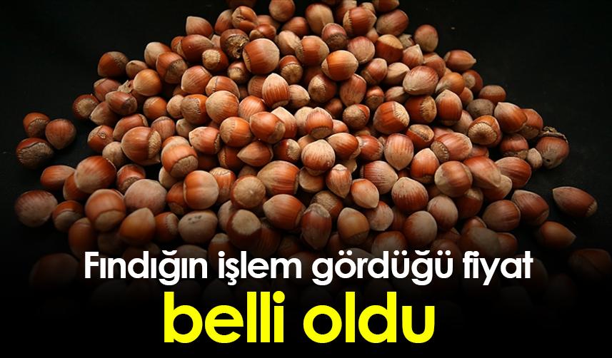 Giresun'da fındığın işlem gördüğü fiyat belli oldu
