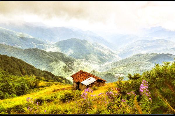 Trabzon'u Tanıyalım "Bölge Günden Güne Gelişiyor"