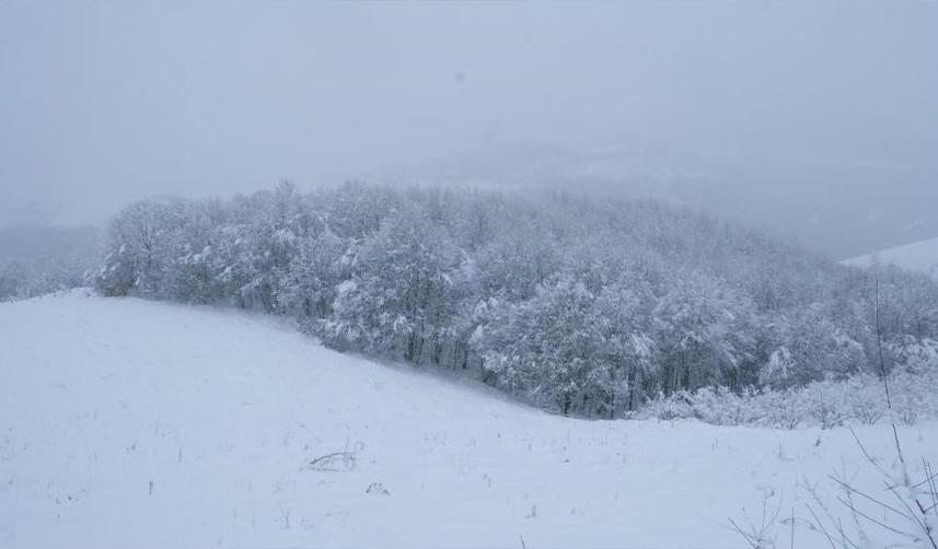 Samsun'un yüksek kesimleri beyaza büründü
