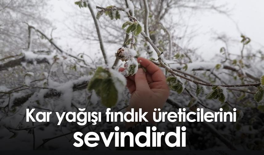 Giresun'da kar yağışı fındık üreticilerini sevindirdi