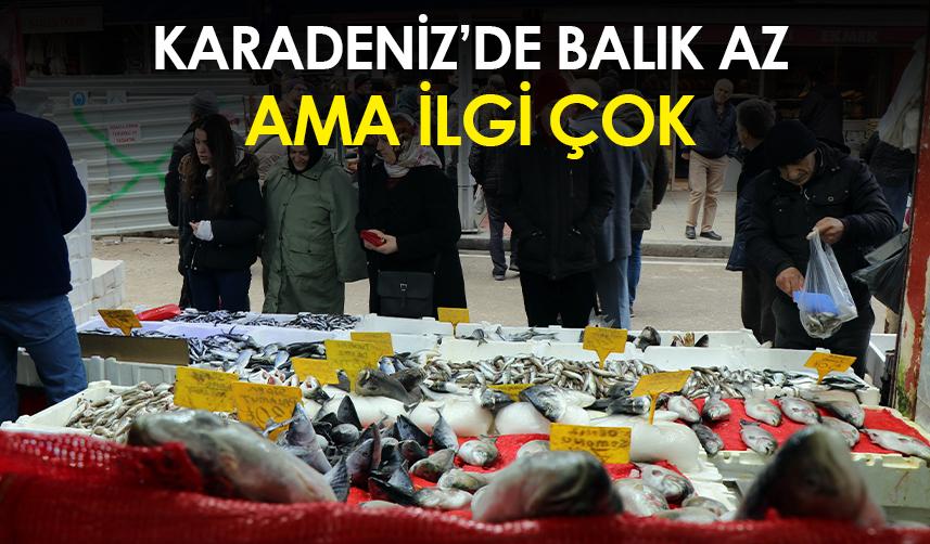 Karadeniz'de balık az ama ilgi çok!