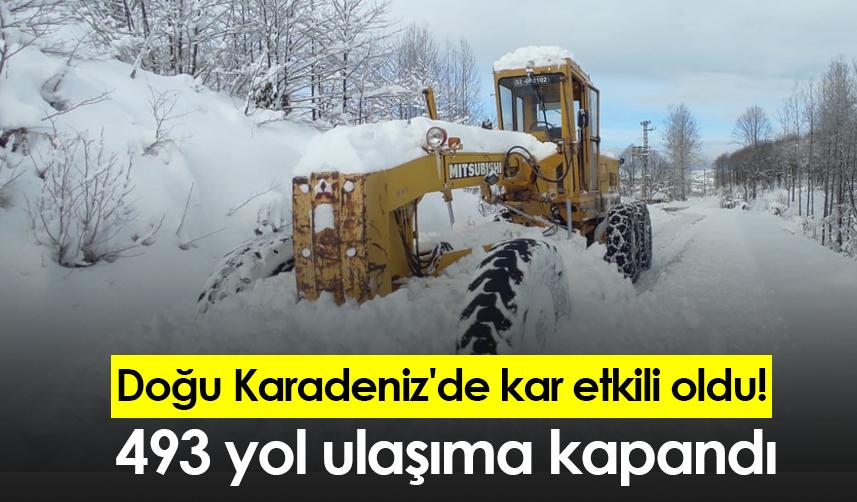 Doğu Karadeniz'de kar etkili oldu! 493 yol ulaşıma kapandı
