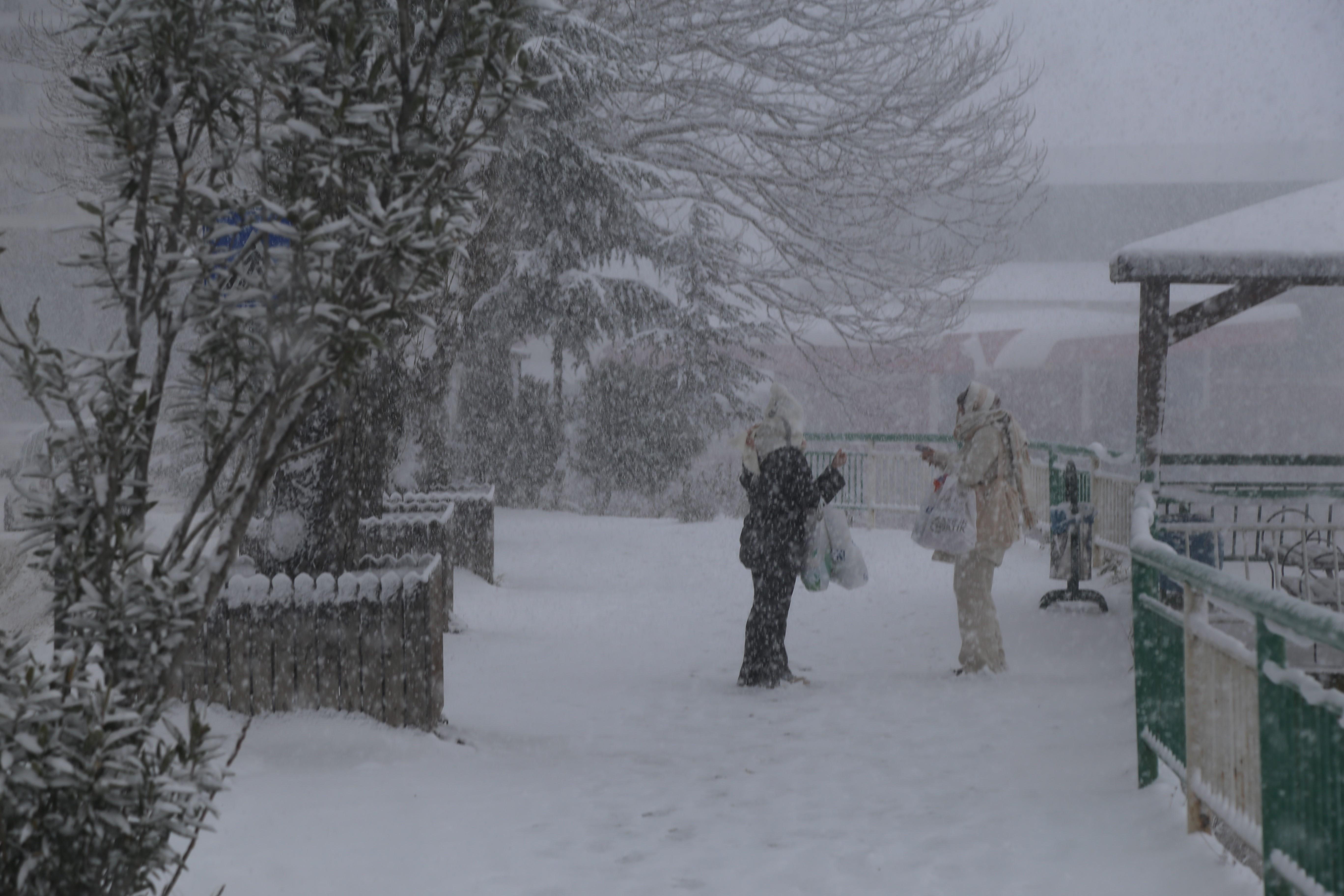 Artvin’de yoğun kar yağışı olumsuz etkiledi