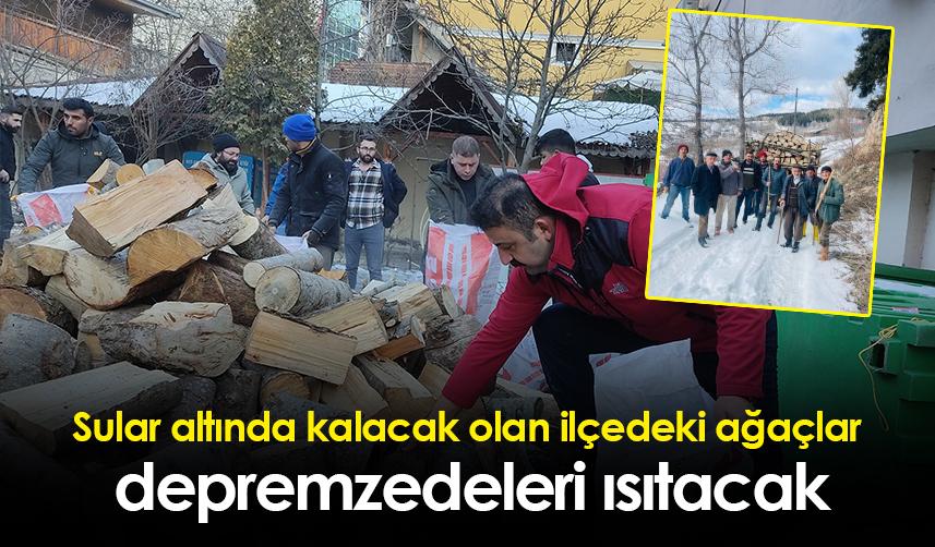 Sular altında kalacak olan ilçedeki ağaçlar depremzedeleri ısıtacak