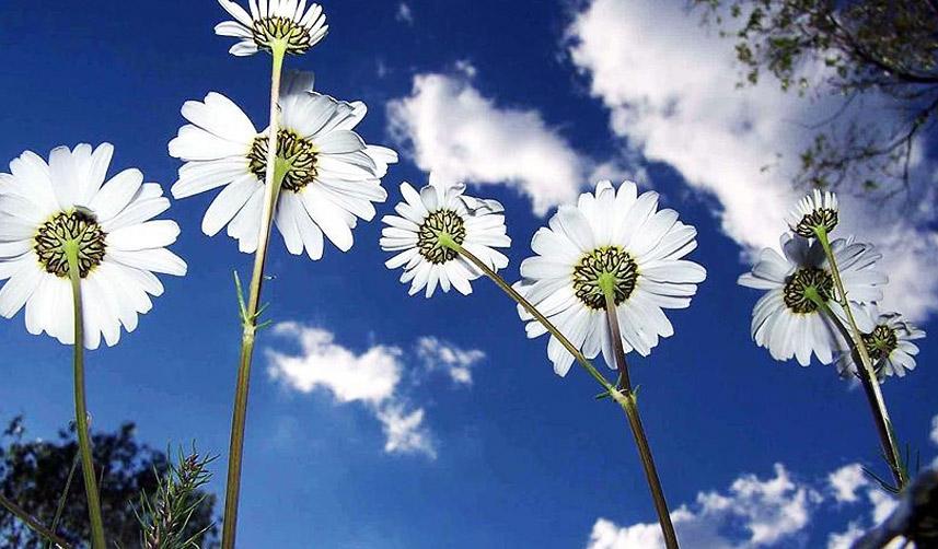 Cemre ne zaman düşecek? Cemre düşmesi nedir? 2023 Cemre düşme tarihleri! 