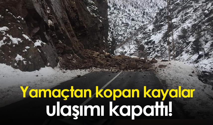 Artvin'de yamaçtan kopan kayalar karayoluna düştü! Ulaşım kapandı