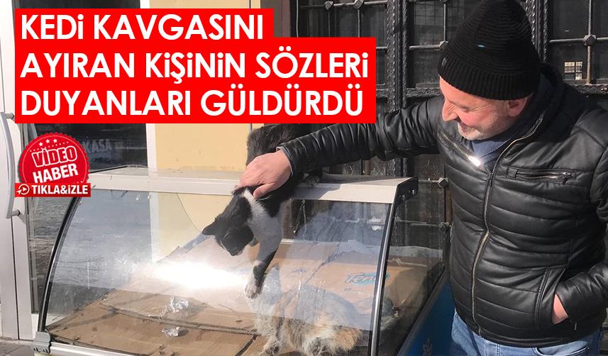 Bayburt'ta kedilerin kavgasını ayıran esnafın sözleri duyanları güldürdü