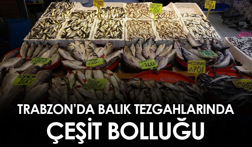 Trabzon'da balık tezgahlarında çeşit bolluğu