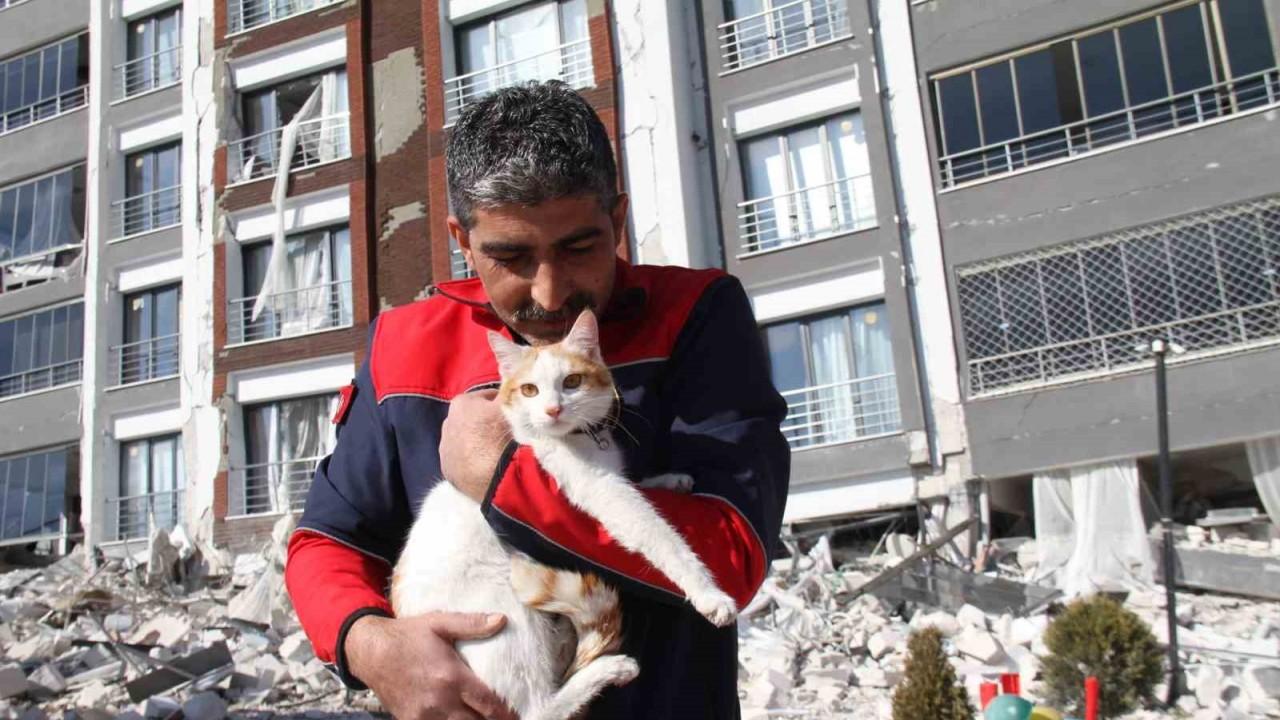 Malatya’da ağır hasarlı binada mahsur kalan kedi kurtarıldı