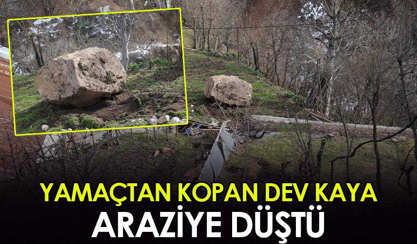 Artvin'de yamaçtan kopan dev kaya tarım arazisine düştü!