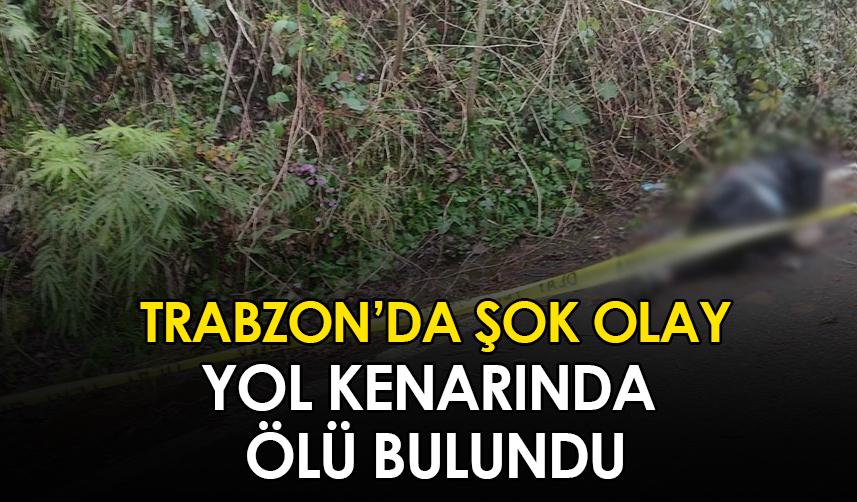 Vakfıkebir’de Yol Kenarında Bulunan Erkek Cesedi Şok Etti
