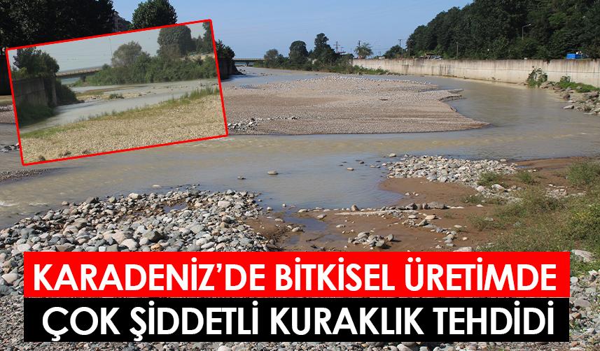 Karadeniz’de bitkisel üretimde çok şiddetli kuraklık tehdidi