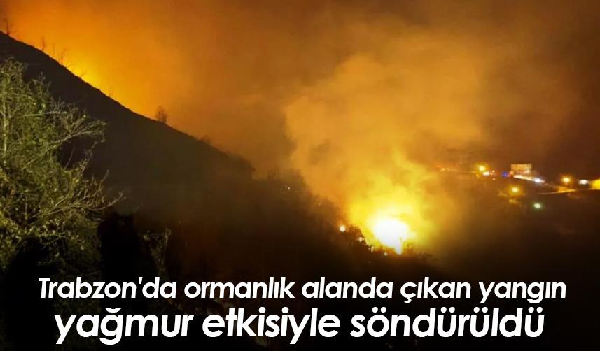 Trabzon'da ormanlık alanda çıkan yangın yağmur etkisiyle söndürüldü